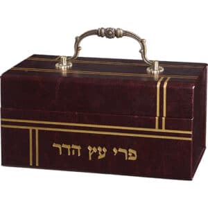 Leatherette Etrog Box with Handle & Lock 13*19*11 cm - Brown