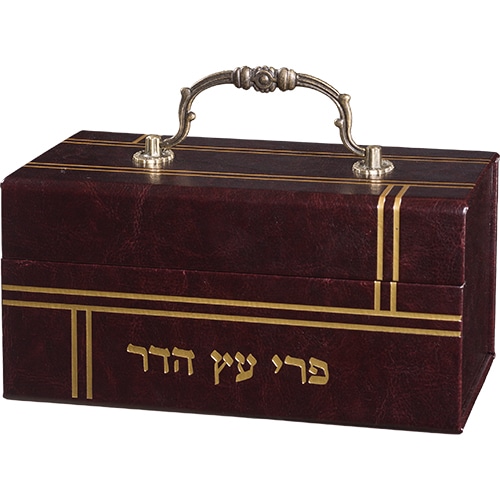 Leatherette Etrog Box with Handle & Lock 13*19*11 cm - Brown