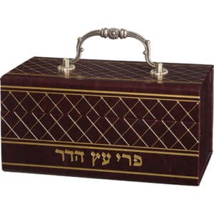 Leatherette Etrog Box with Handle & Lock 13*19*11 cm - Brown