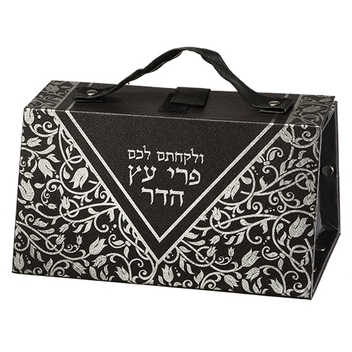 Faux Leather Etrog Box 11*19*13 with Silver Print