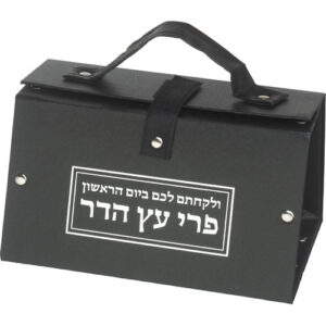 Faux Leather Etrog Box 11*19*13 with Silver Print